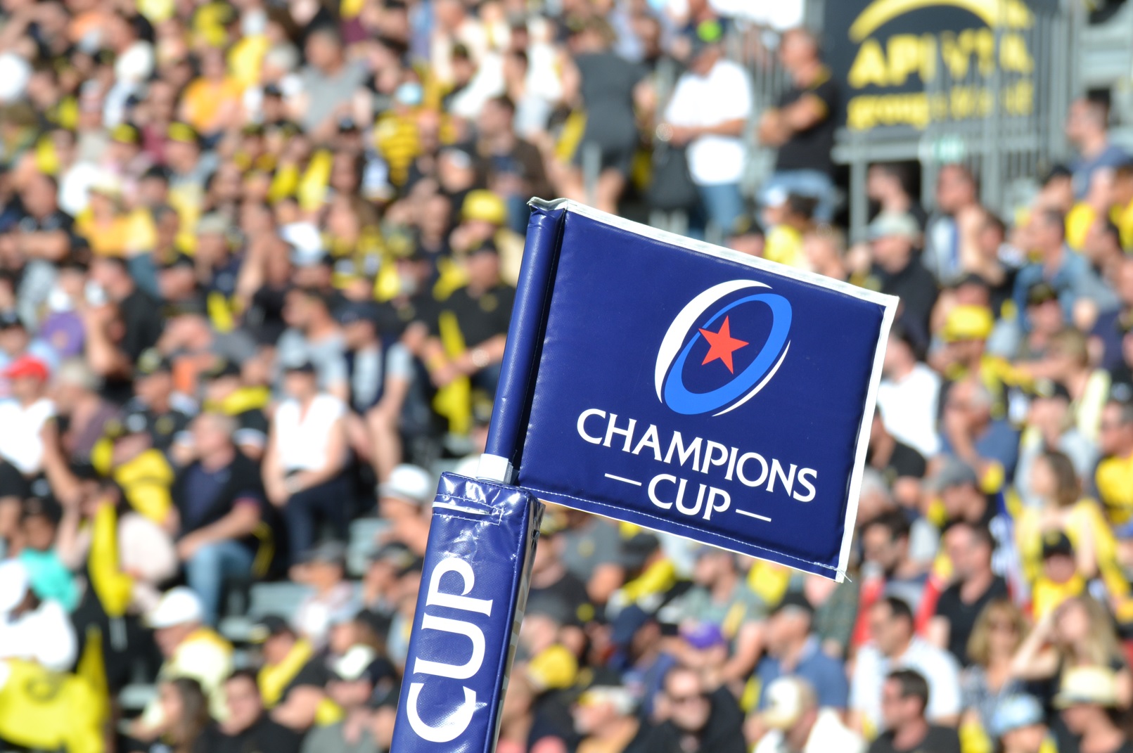 Rugby – Quel tirage pour les clubs de Nouvelle-Aquitaine en Coupe d’Europe ?