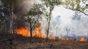 Un nouveau dispositif renforcé contre les feux de forêts en Gironde