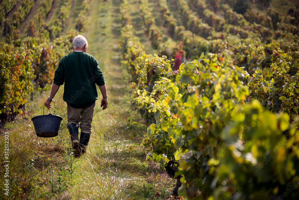 BORDEAUX : Les viticulteurs restent inquiets malgré les belles promesses du ministre 