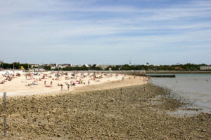 La ROCHELLE : Des volontaires s’engagent pour des plages salubres 